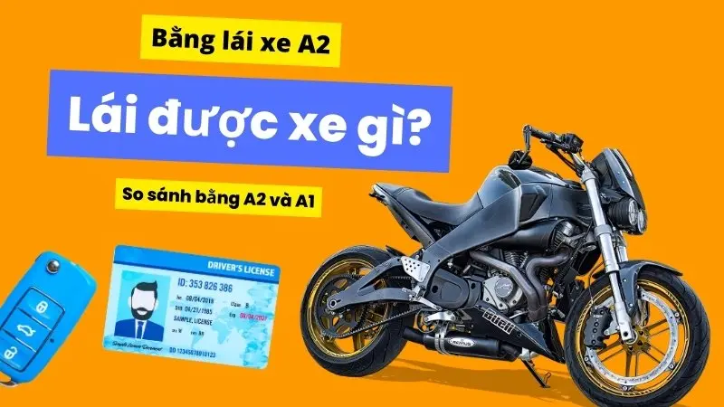 Bằng A2 được lái xe gì? So sánh bằng A2 và A1