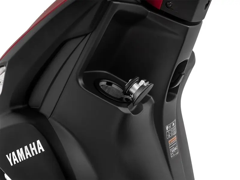 Ảnh chi tiết xe Yamaha FreeGo 4