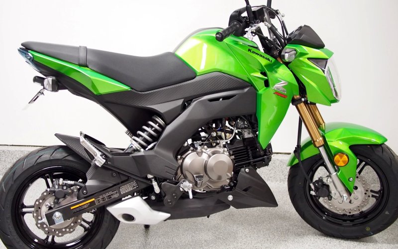 Kawasaki Z125 PRO 21