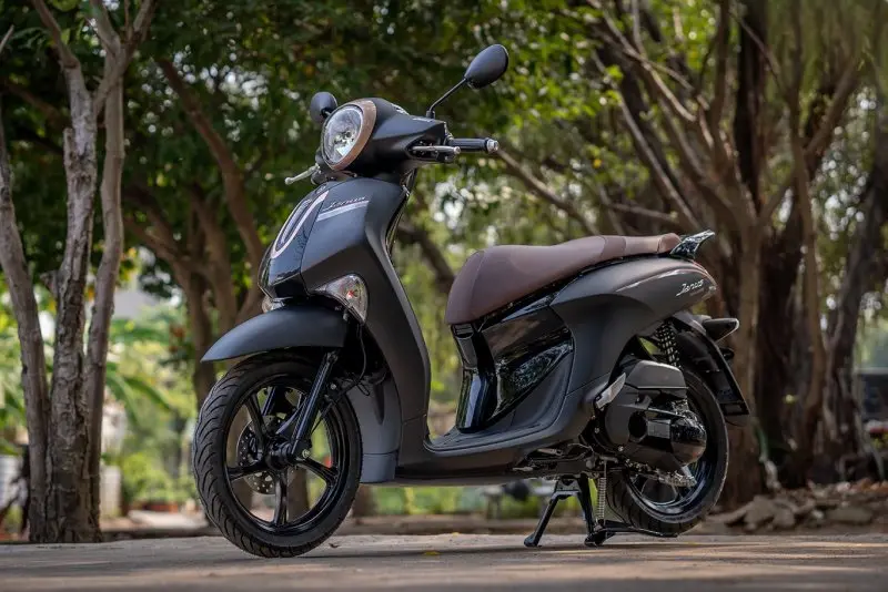 Ảnh xe máy Yamaha Janus ấn tượng 19