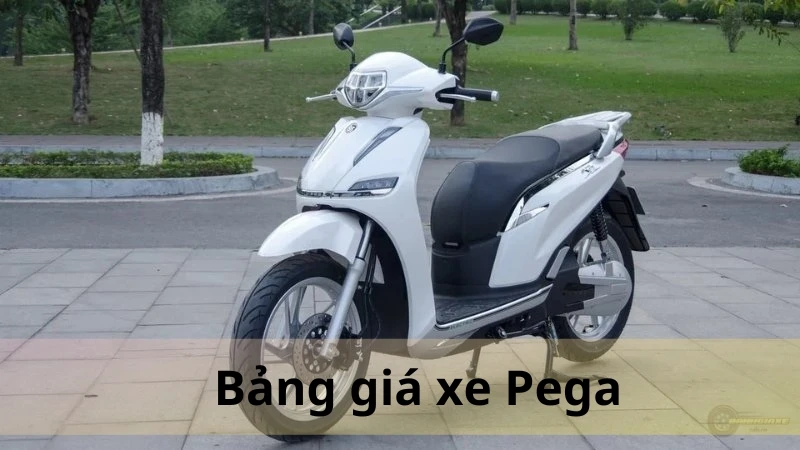 Bảng giá xe máy điện Pega tháng 10/2024 - Cập nhật mới nhất