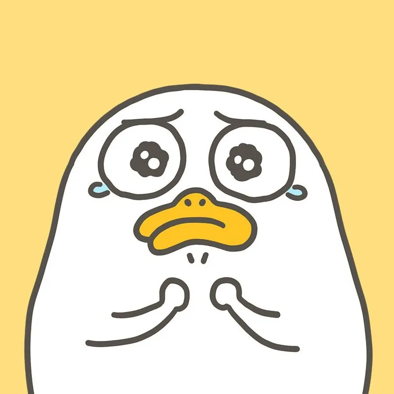 Avatar vịt siêu đáng yêu cho các bạn trẻ yêu phong cách cute