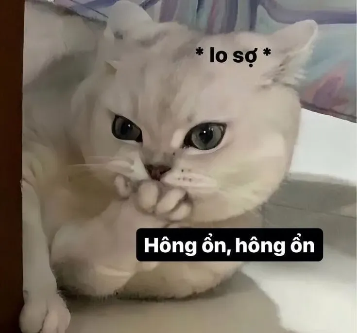 Mặt khóc meme thể hiện cảm xúc buồn sâu sắc qua biểu cảm khuôn mặt.