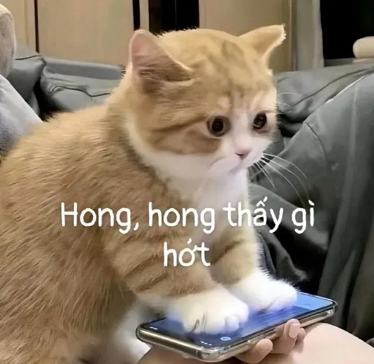 Ảnh khóc meme dễ thương, thể hiện những giọt nước mắt ngọt ngào.