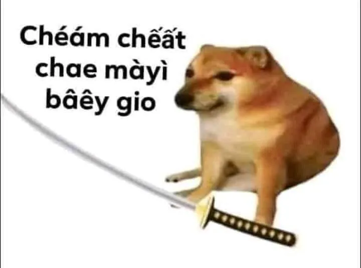 Ảnh meme hài cheems vui nhộn, Cheems luôn tạo sự thích thú với những biểu cảm ngộ nghĩnh.