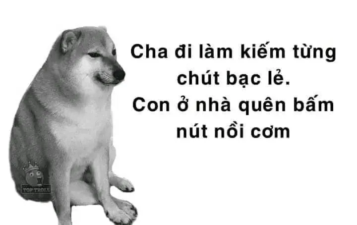 Cheems doge meme vui nhộn, kết hợp giữa Cheems và Doge mang đến những khoảnh khắc dễ thương.