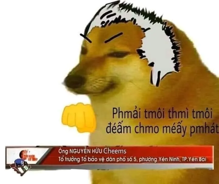 Shiba cheems meme vietnam dễ thương, chú chó Shiba Cheems gây bão trong cộng đồng mạng Việt.