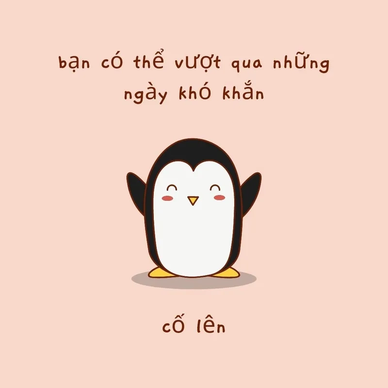 Chuột cống meme siêu lầy lội và hài hước.