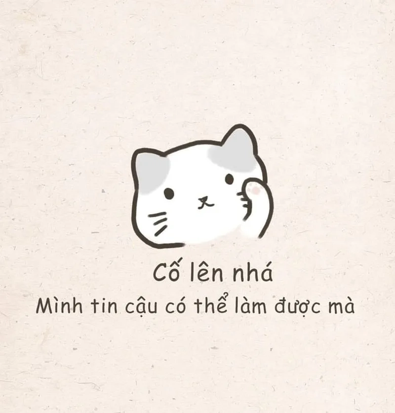 Meme gấu trúc cố lên dễ thương và truyền cảm hứng.