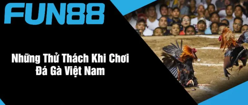 Những Thử Thách Khi Chơi Đá Gà Fun88 Những Thử Thách Khi Chơi Đá Gà Fun88