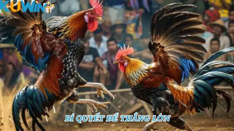 Bí quyết để thắng lớn Bí quyết để thắng lớn