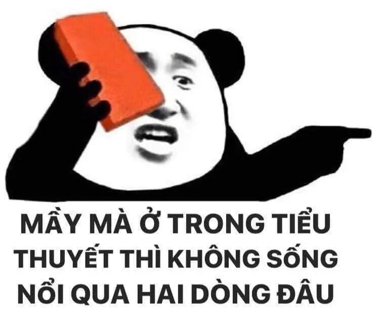 Meme gấu trúc ngạc nhiên siêu lầy, khiến người xem bật cười.