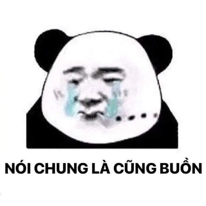 Meme gấu trúc bất ngờ biểu cảm lầy, gây cười không ngớt.