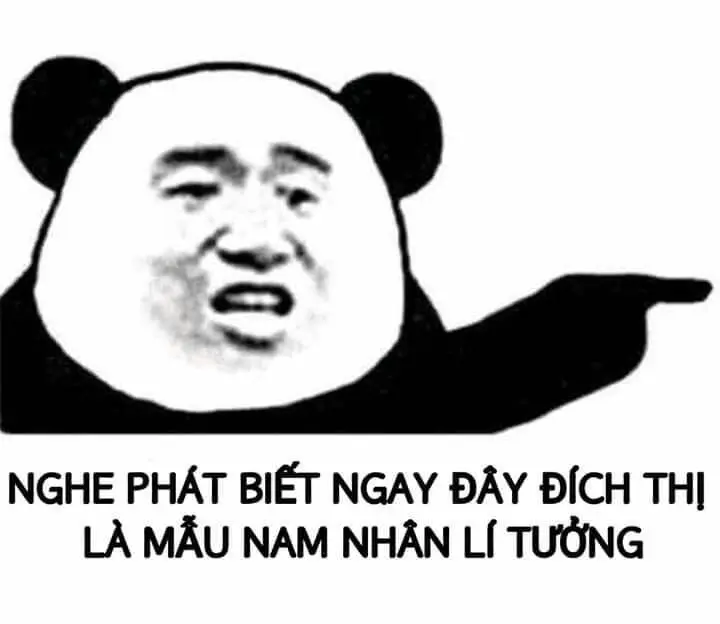 Meme gấu trúc cười cực ngộ nghĩnh, tạo niềm vui mạnh mẽ.