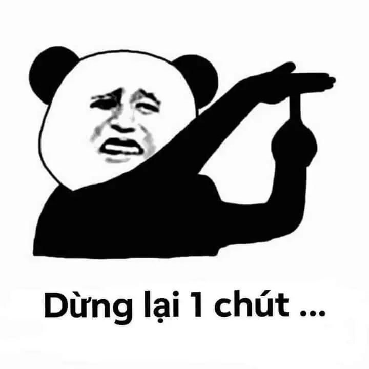 Meme hài gấu trúc lầy lội, lan tỏa tiếng cười mạnh mẽ.