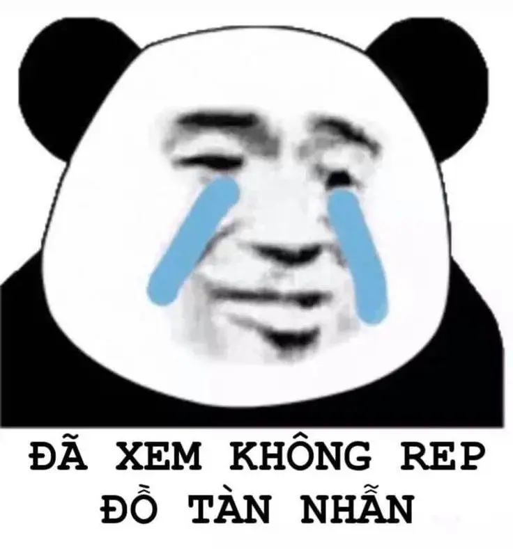 Ảnh meme gấu trúc siêu ngộ nghĩnh, phù hợp để chế vui.