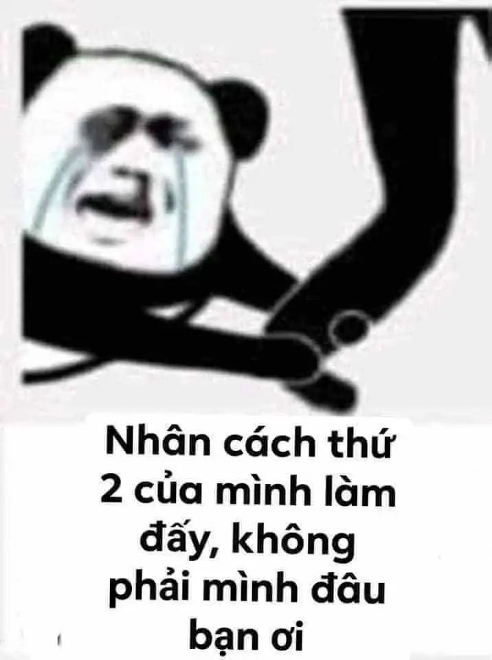 Ảnh gấu meme siêu lầy lội, tạo cảm giác hài hước mạnh mẽ. Ảnh gấu meme siêu lầy lội, tạo cảm giác hài hước mạnh mẽ.