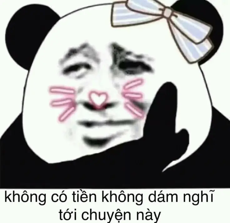 Gấu hồng loopy meme dễ thương, gây tiếng cười lớn.