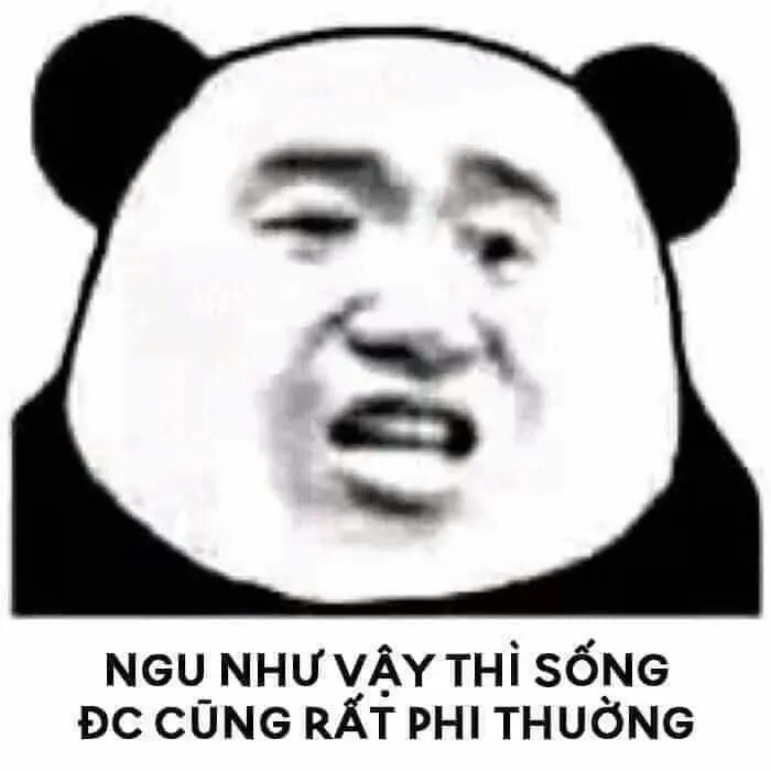 Ảnh gấu hồng meme đáng yêu, phù hợp nội dung vui tươi.