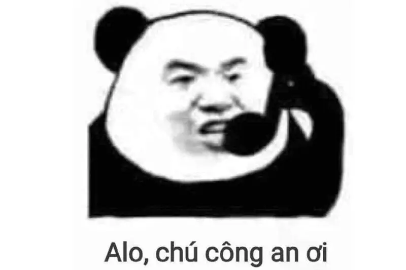 Ảnh meme gấu hồng biểu cảm hài, lan tỏa niềm vui.