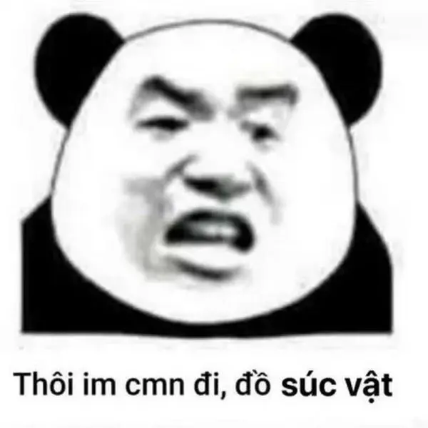 Meme gấu trúc biểu cảm thú vị, rất phù hợp cho bài chế.