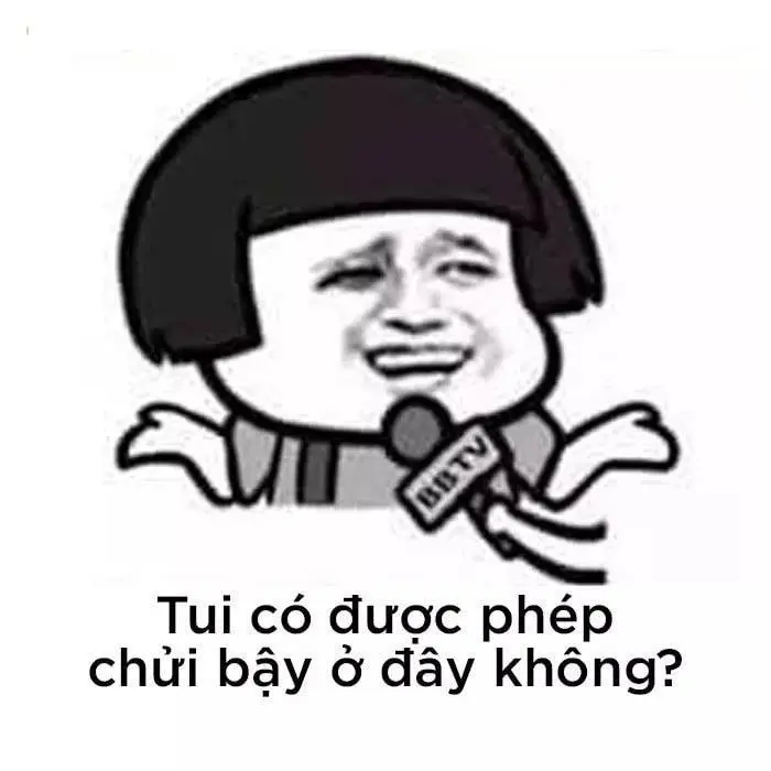 Meme gấu trúc chửi cực kỳ hài hước, gấu trúc nổi giận với những lời chửi cực kỳ đáng yêu.