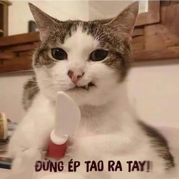 Meme ảnh chửi tục gây cười, thể hiện sự tức giận cực kỳ hài hước qua hình ảnh.