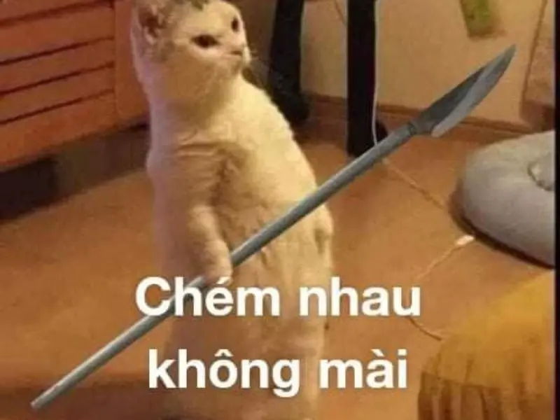 Đánh meme cực hài hước khiến bạn không thể nhịn cười