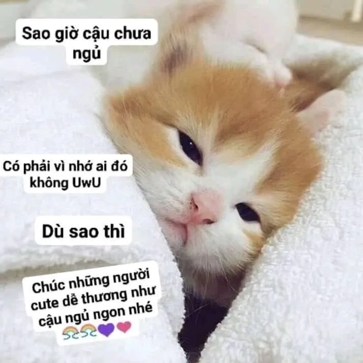 Meme tắt máy đi ngủ cực hài, làm ai cũng bật cười.