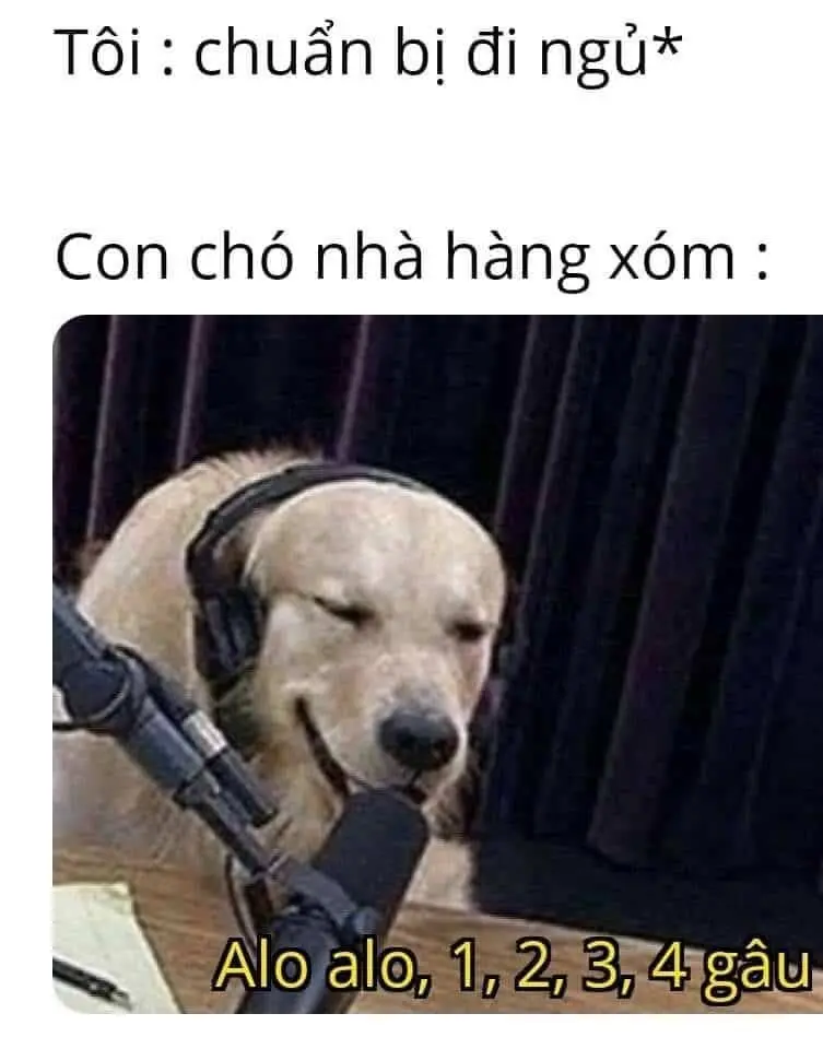 Meme ngủ đi ngộ nghĩnh, lan tỏa thông điệp đáng yêu.