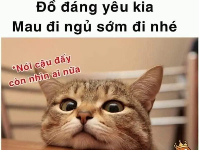 Buồn ngủ meme siêu lầy, dễ gây ấn tượng trên mạng xã hội.