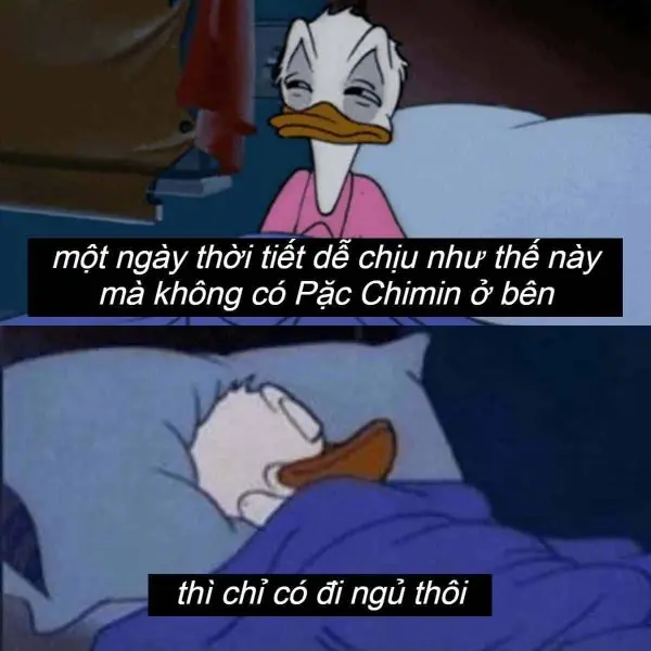 Meme mới ngủ dậy lầy lội, phù hợp cho ảnh chế vui vẻ.