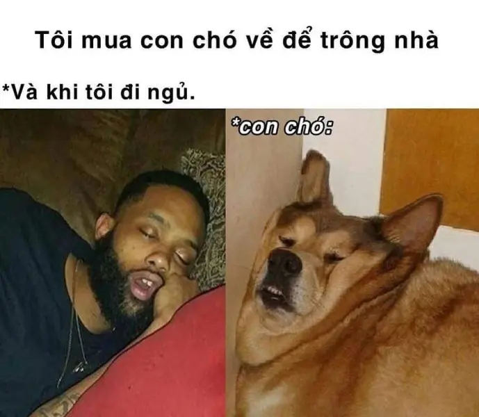 Meme ngủ ngon cute đáng yêu, lan tỏa năng lượng tích cực.