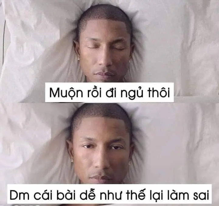 Meme chúc ngủ ngon cute dễ thương, làm nổi bật bài đăng.