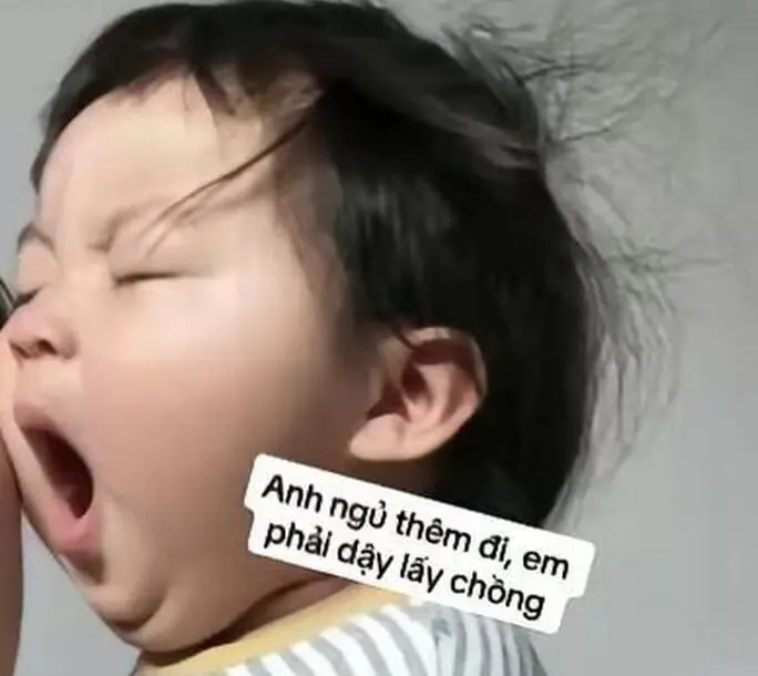 Meme mèo ngủ ngon dễ thương, tạo ấn tượng khó quên.