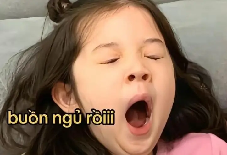 Ảnh chúc ngủ ngon meme sáng tạo, phù hợp mọi bài viết.