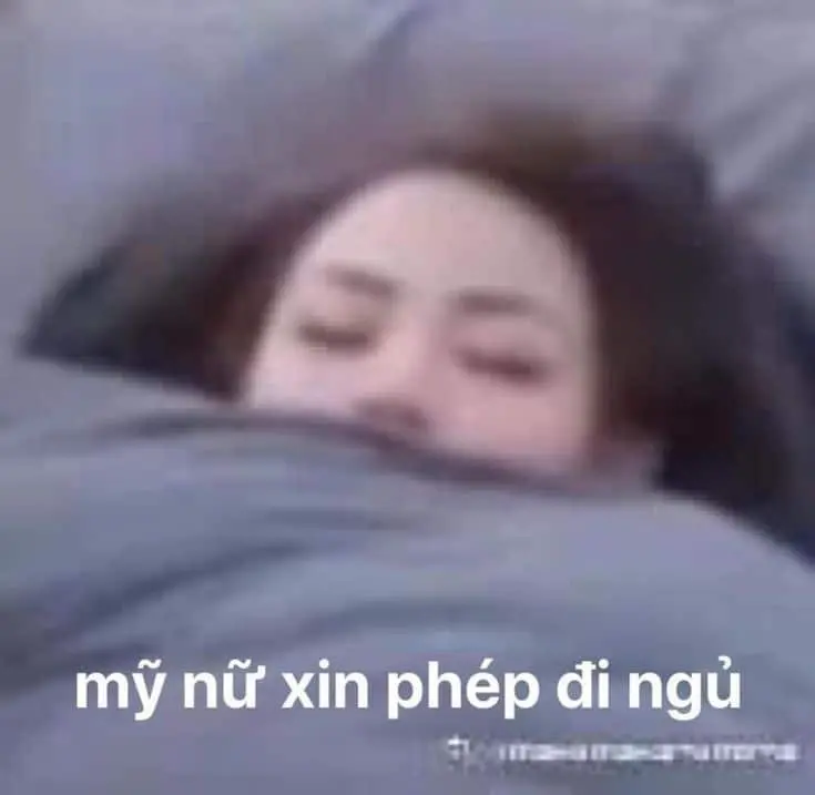 Meme ngủ đi ngộ nghĩnh, lan tỏa thông điệp đáng yêu.