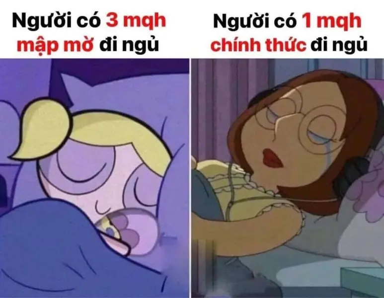 Meme mèo ngủ dậy ngộ nghĩnh, phù hợp cho bài đăng hài.