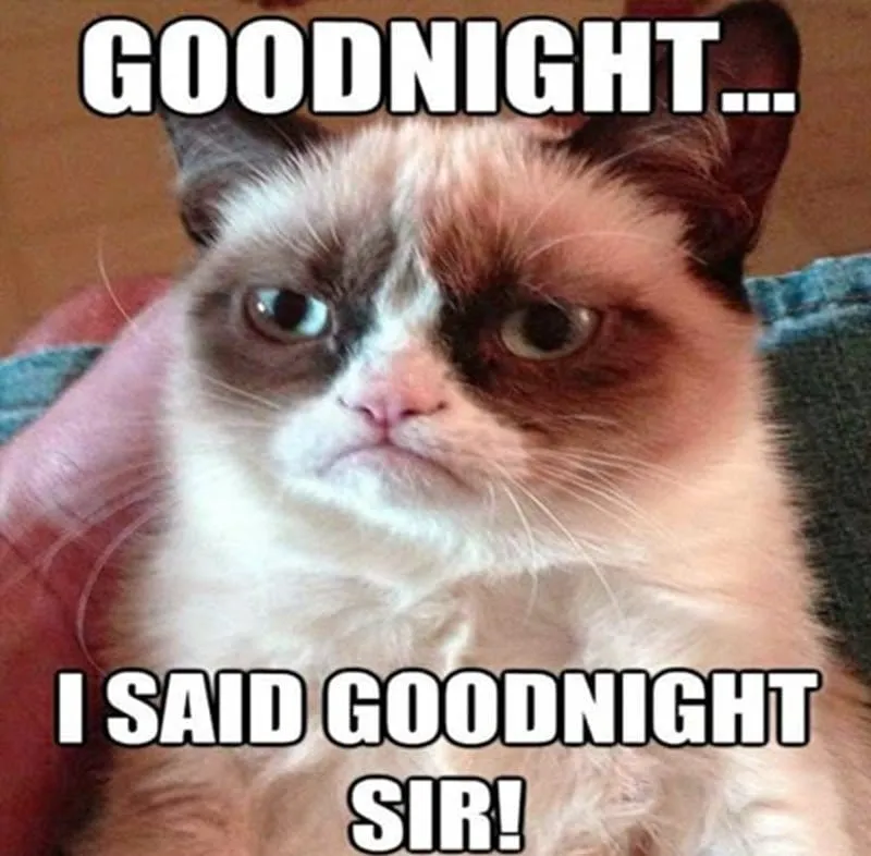 Meme đi ngủ hài hước khiến bạn cười trước khi ngủ