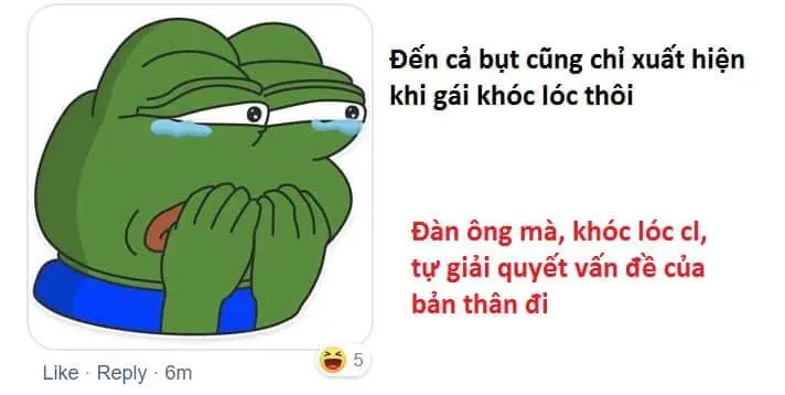 Meme con ếch khóc cảm động, mang lại những khoảnh khắc sâu lắng.