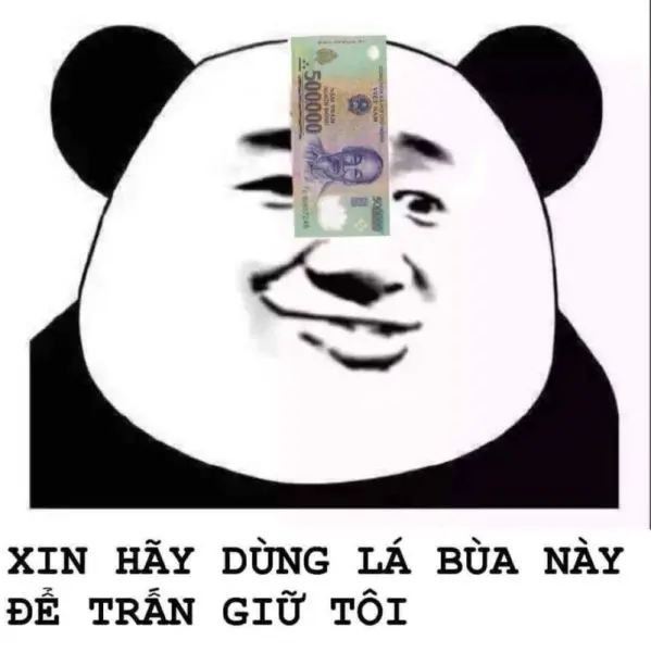 Gấu hồng meme ngộ nghĩnh, biểu cảm lầy lội dễ thương.