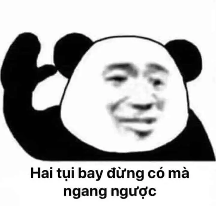 Meme gấu trúc buồn lầy lội, thu hút mọi ánh nhìn.