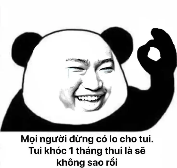 Meme mắt gấu trúc siêu lầy, rất được yêu thích trên mạng.