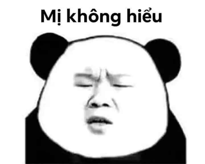 Hài hước meme gấu trúc cực vui nhộn, gây tiếng cười lớn.