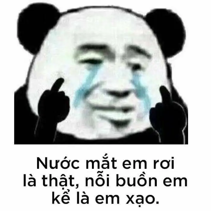 Meme gấu trúc thật cực hài, tạo cảm giác thích thú.