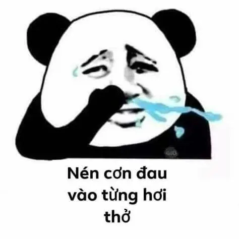 Meme gấu trúc ok biểu cảm thú vị, rất được yêu thích.