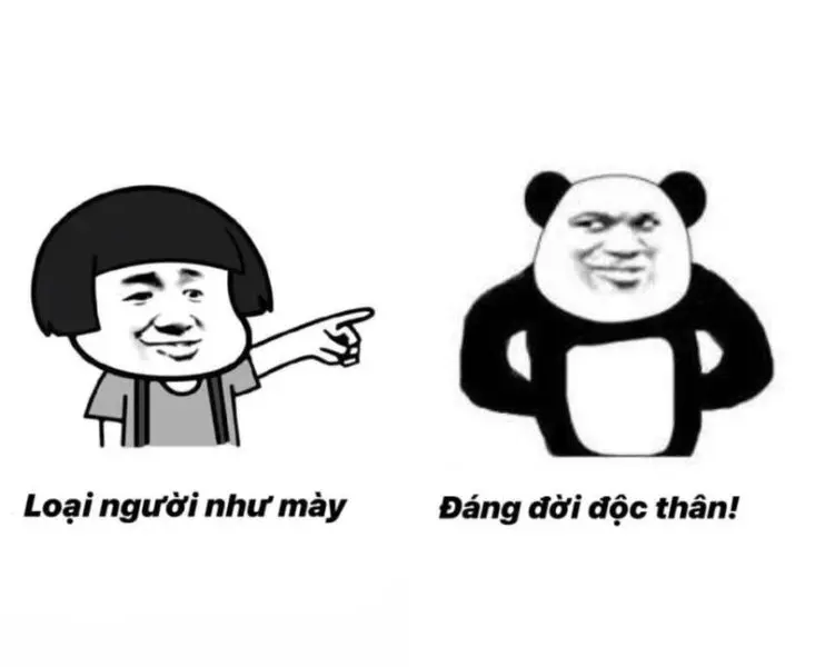 Meme con gấu trúc ngộ nghĩnh, gây chú ý trên mạng xã hội.