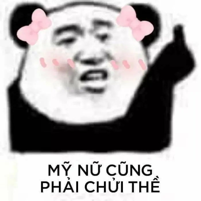 Meme gấu trúc ngang ngược ngộ nghĩnh, gây cười cực mạnh.