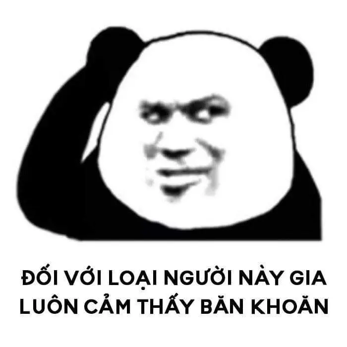 Bựa meme gấu trúc siêu hài, phù hợp bài đăng giải trí.