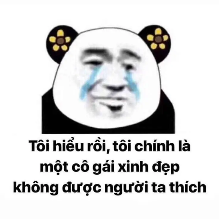 Gấu trúc meme mắt thâm cực hài, dễ dàng gây chú ý.